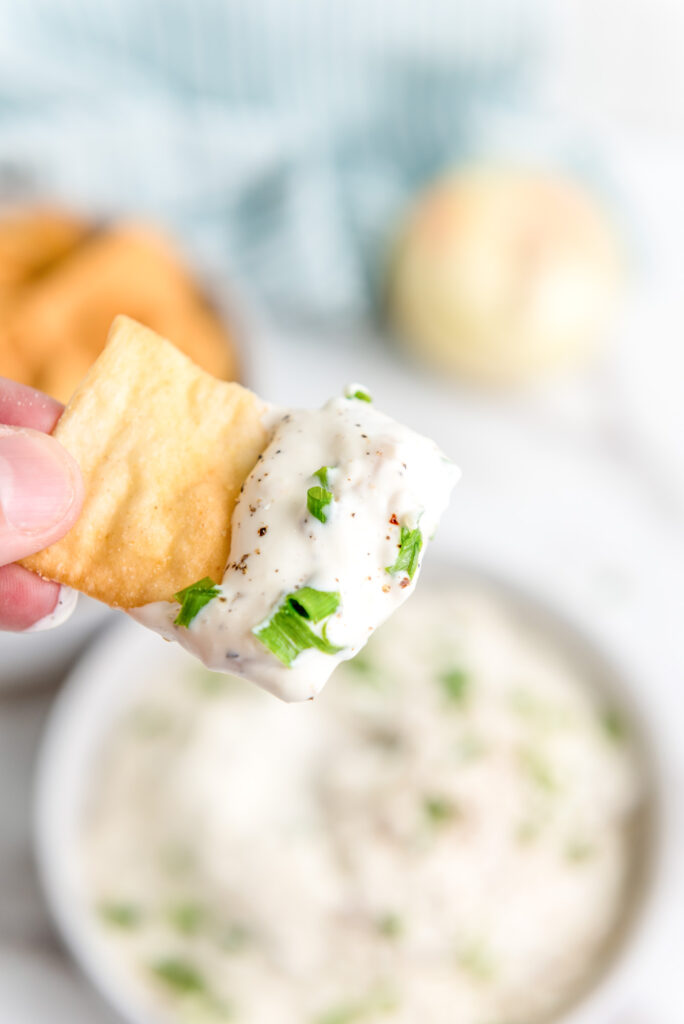 pita chip loaded with caramelized onion dip