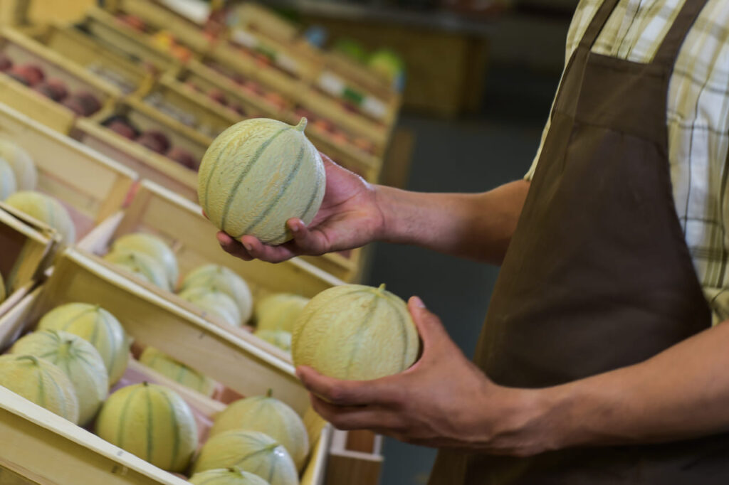 Choose a melon in hand, Brown apron, close up