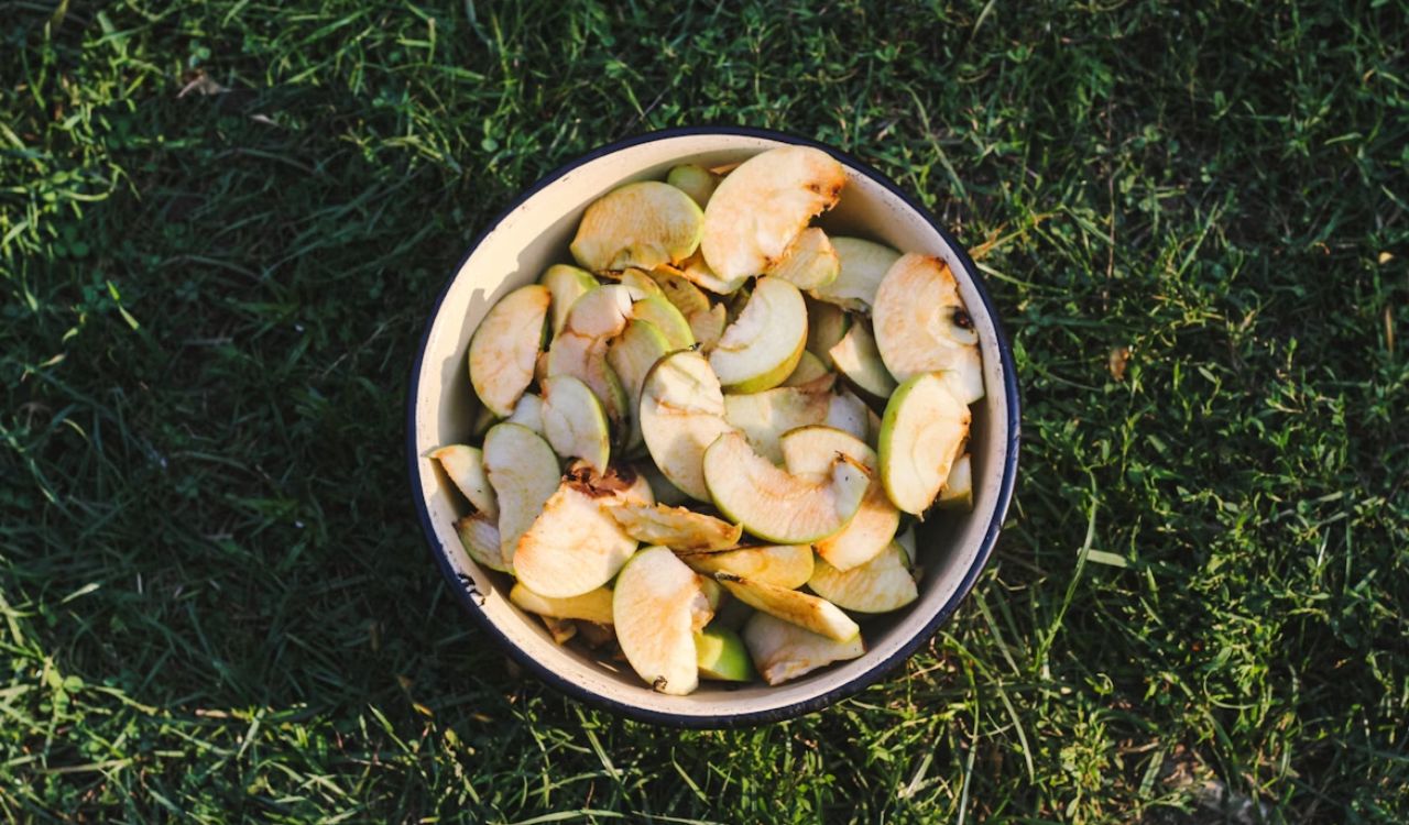 A bowl of sliced apples