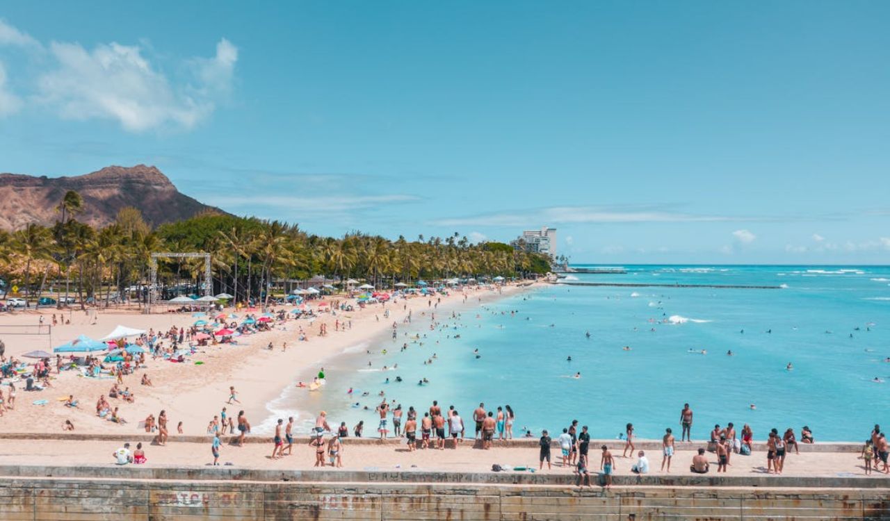 Aerial Photography of People Enjoying the Beach