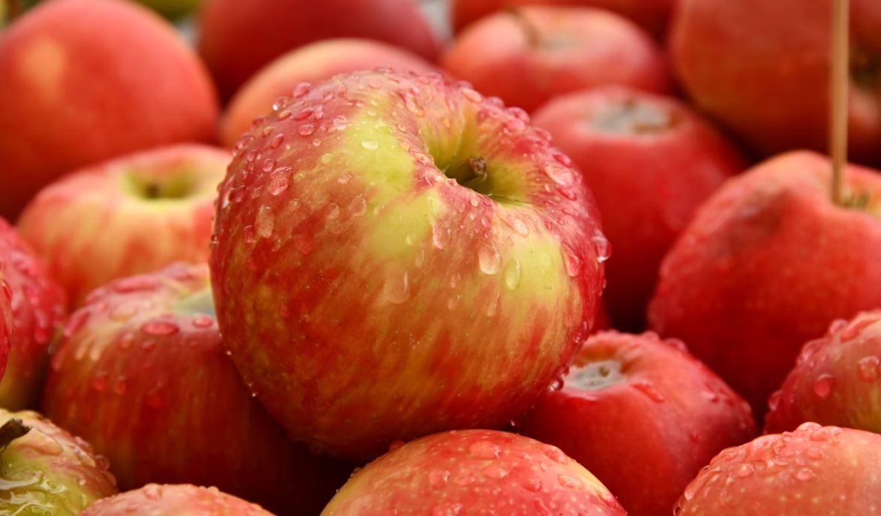 Apples