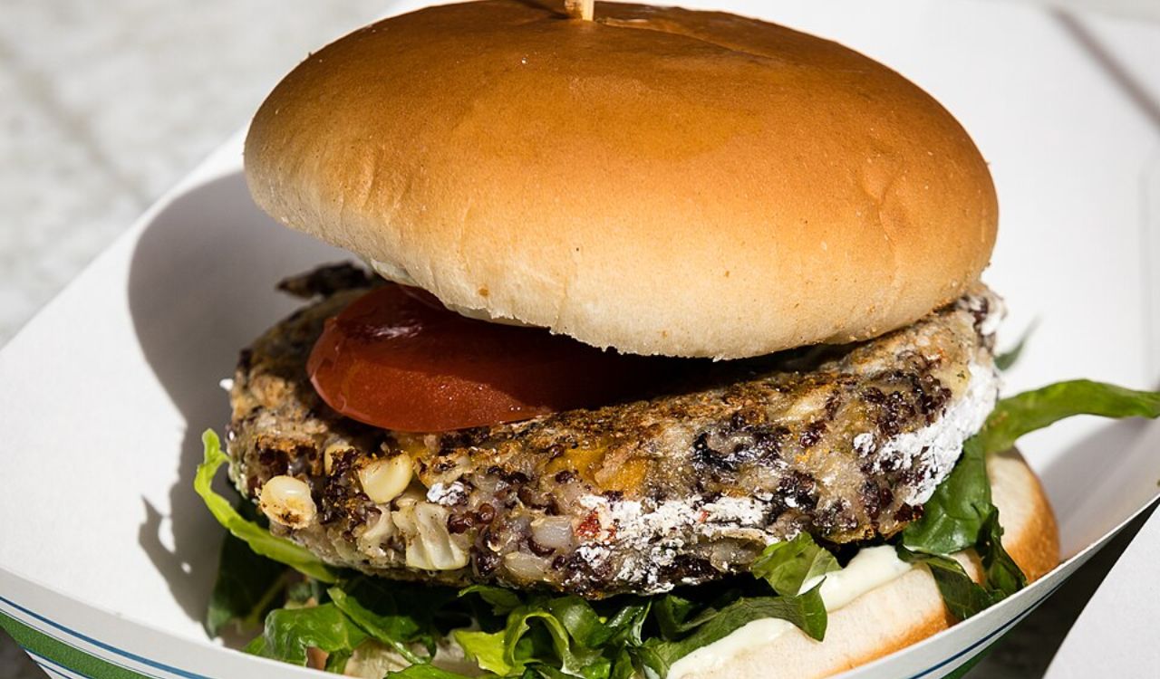 Bison burger