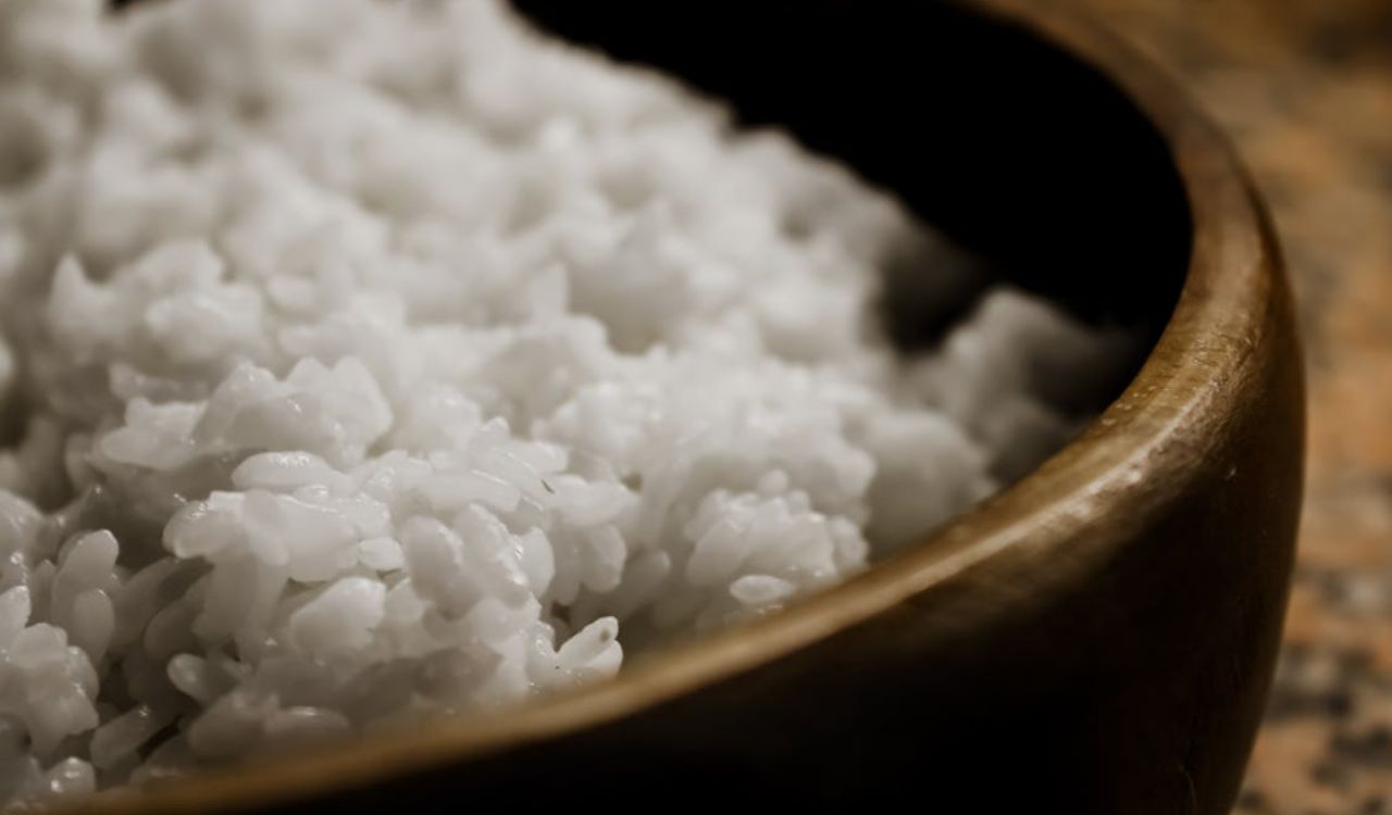 Bowl of white rice