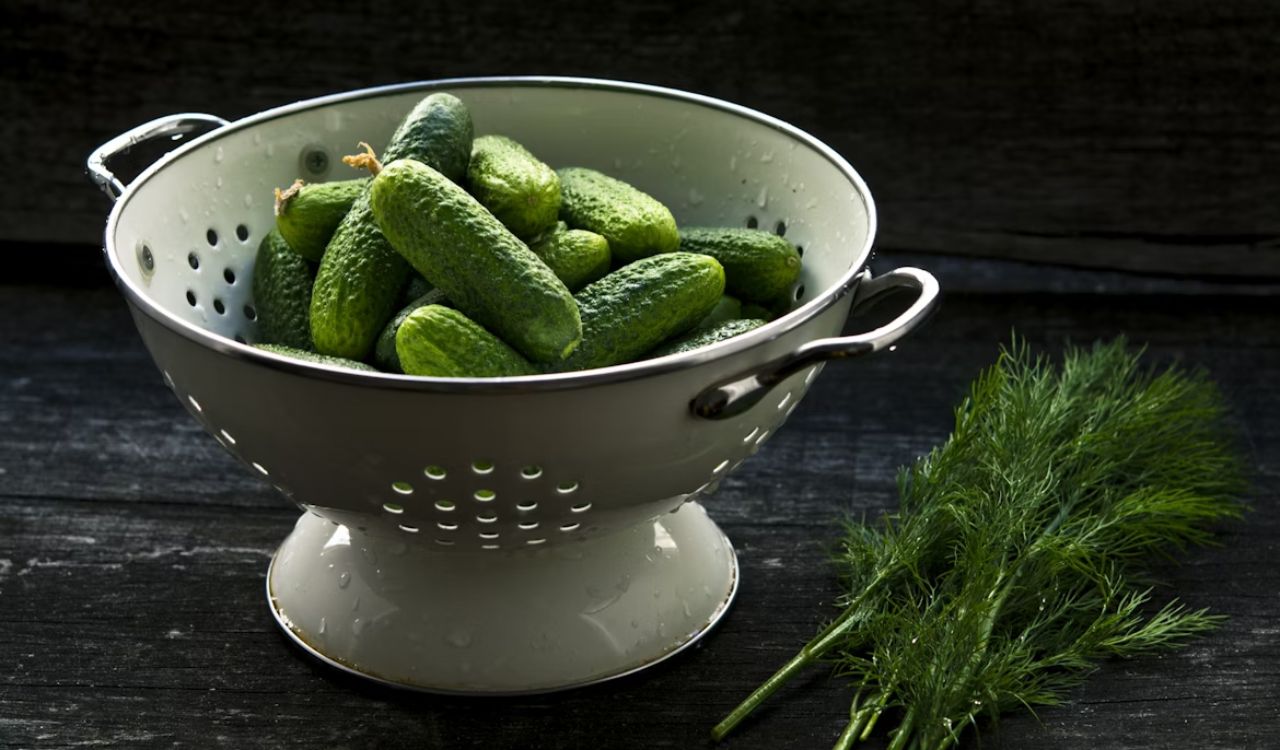 Cucumber and dill