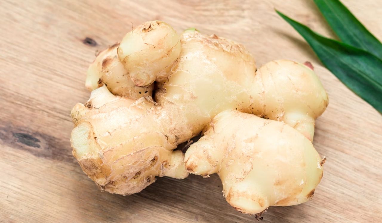 Ginger on brown wooden table