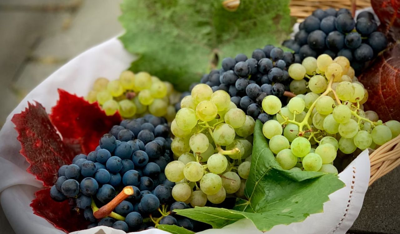 Grapes