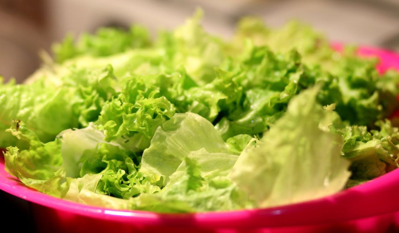 Green and White Lettuce