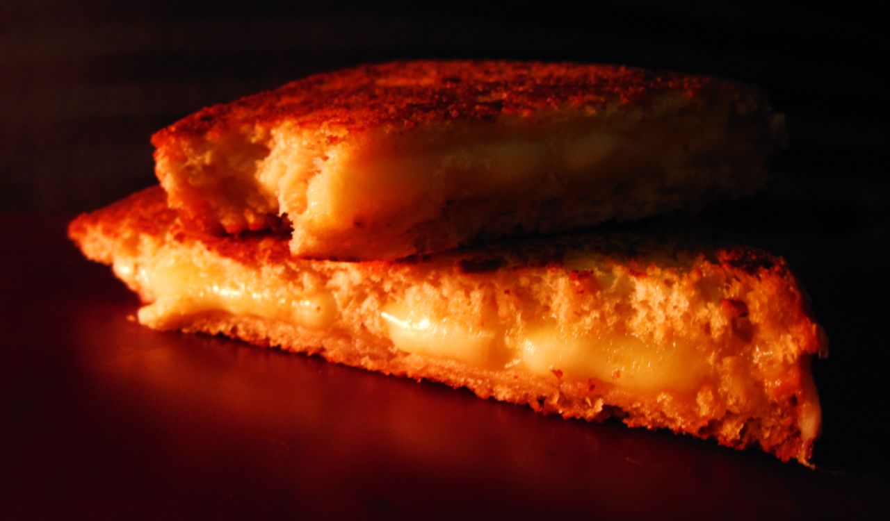 Grilled cheese sandwich made with cheddar and muenster cheeses on multi-grain