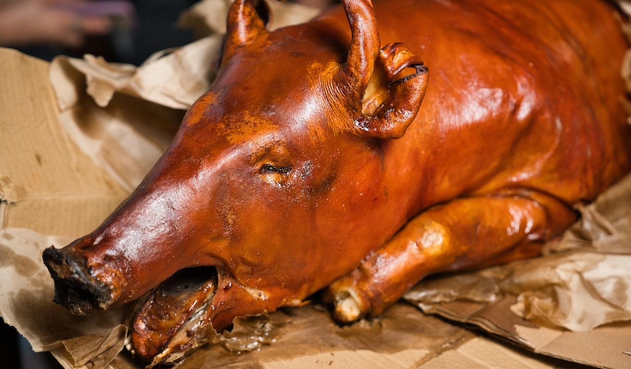 Lechon, pork, meat