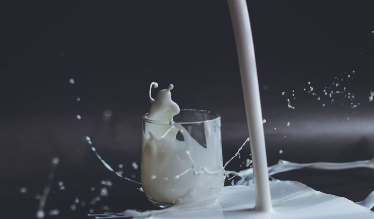 Milk splash