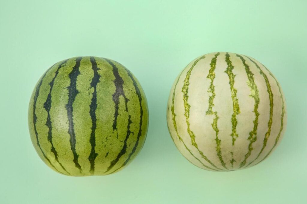 Comparison of dull matte vs. shiny watermelon skins.
