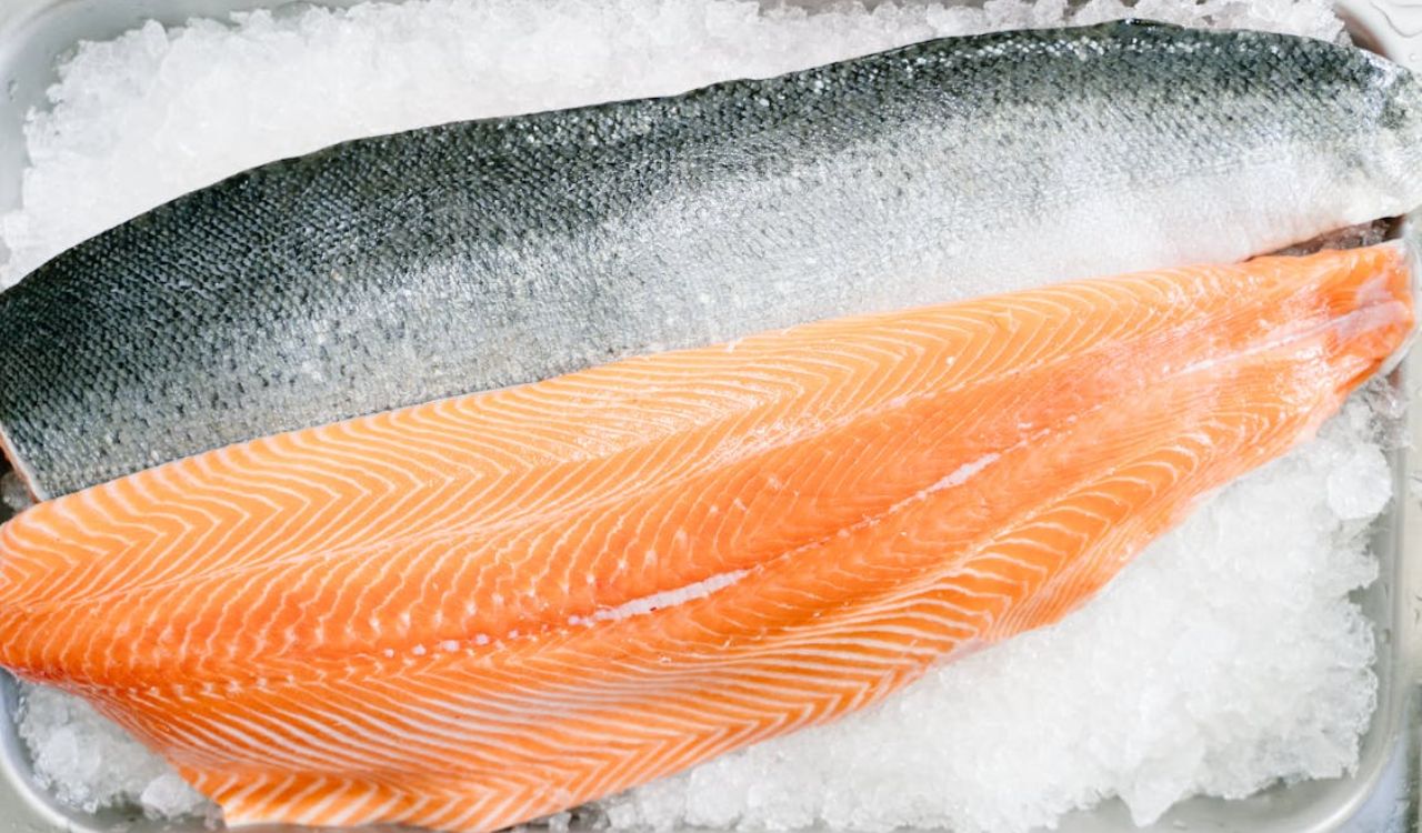 Raw salmon in close-up shot