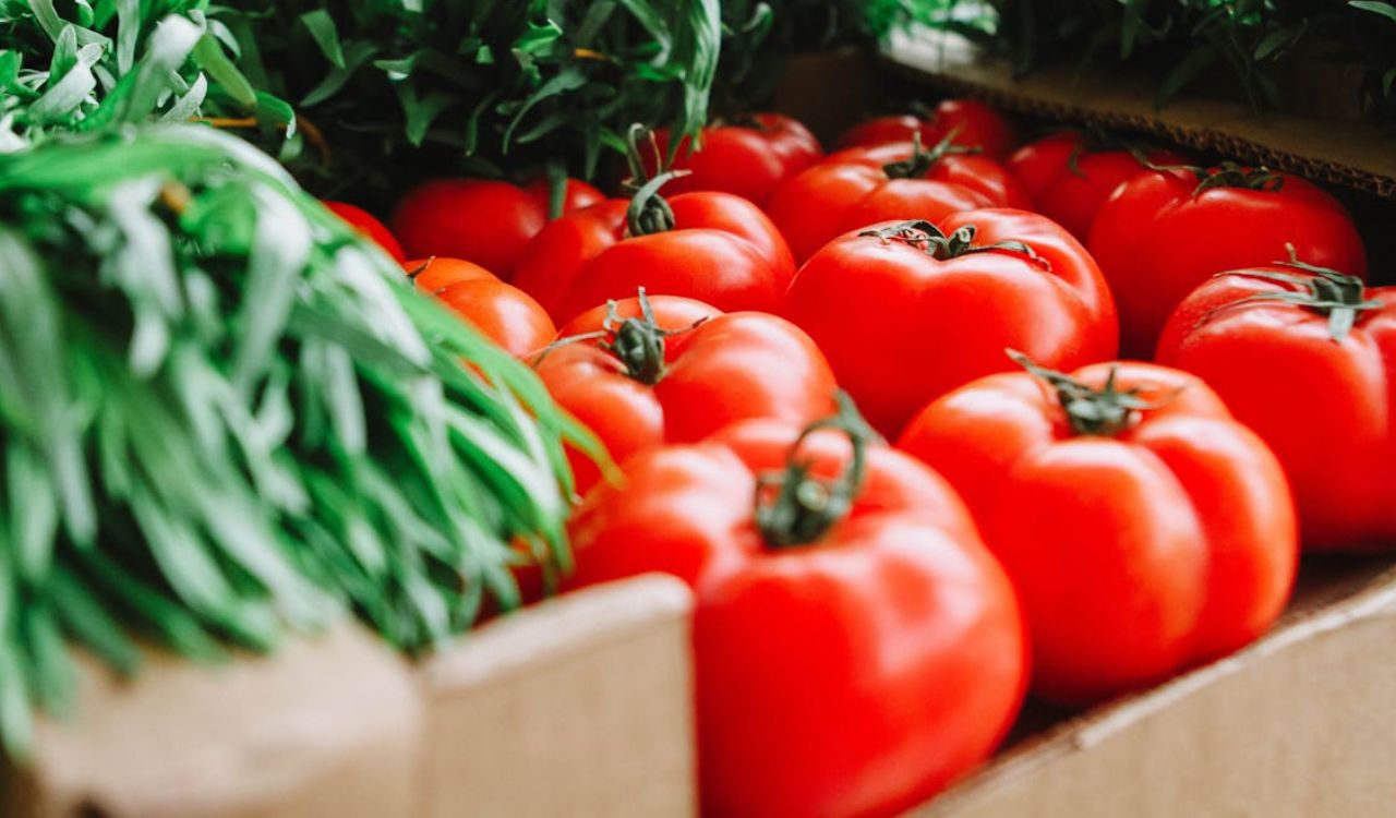 Red tomatoes