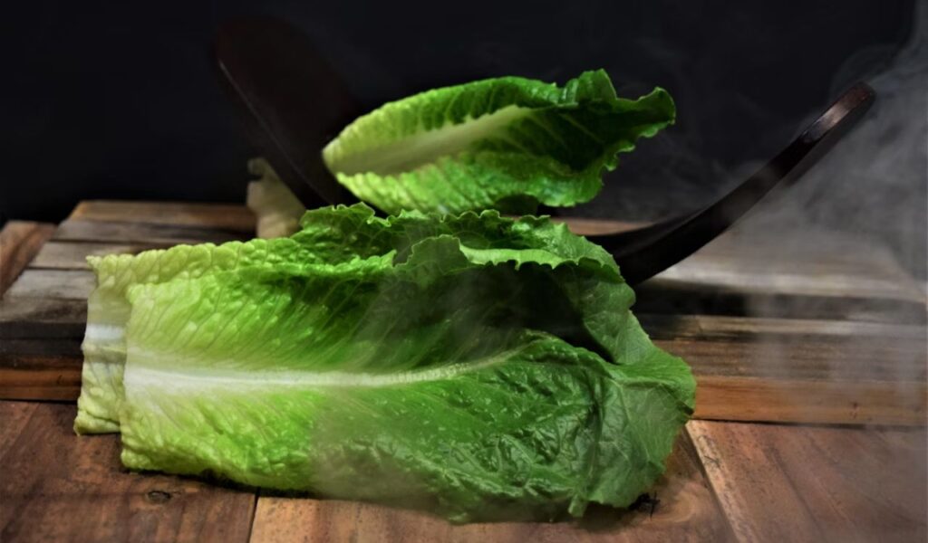Romaine lettuce