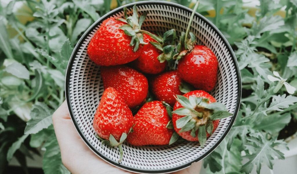 Strawberries in a bowl