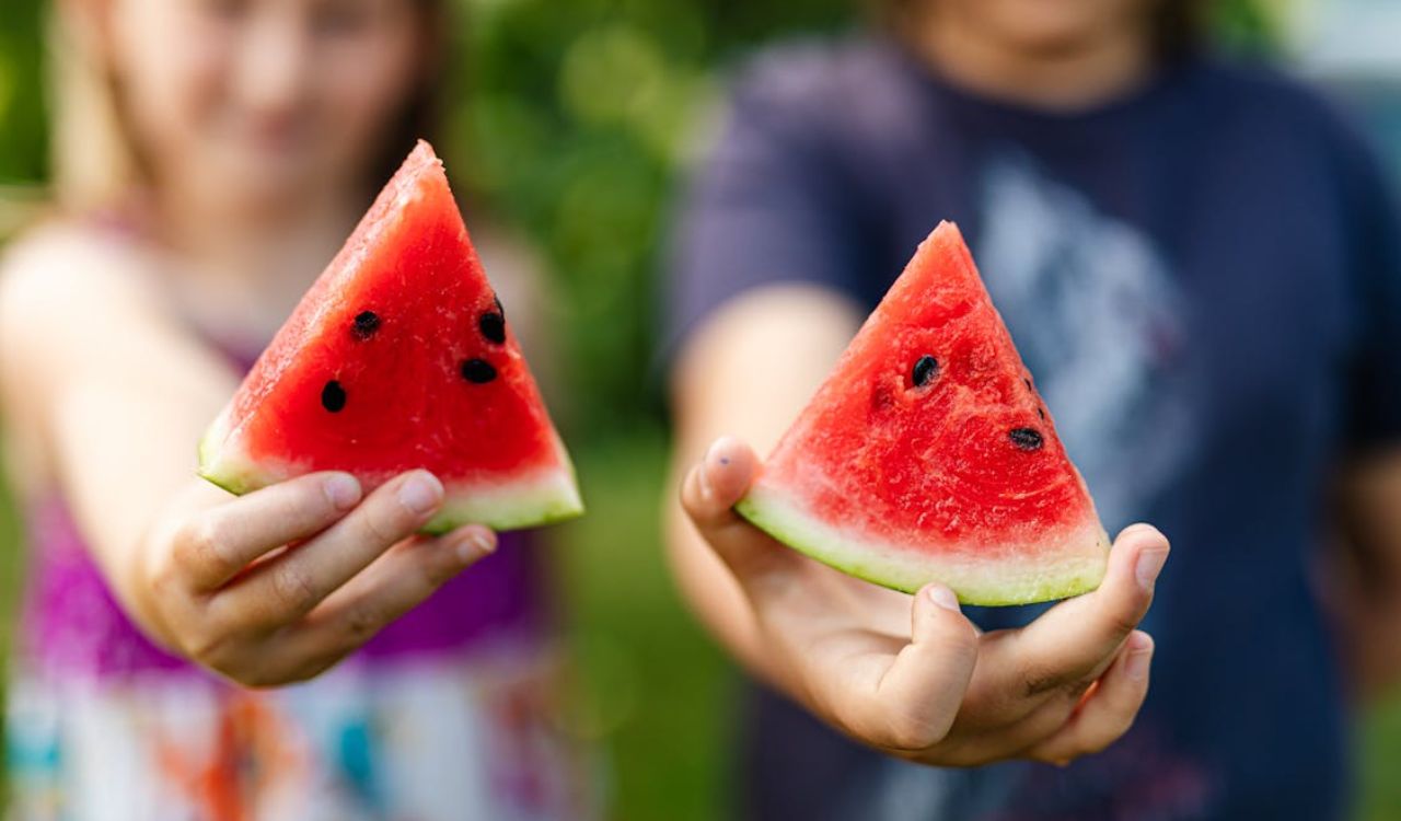 Watermelon slices