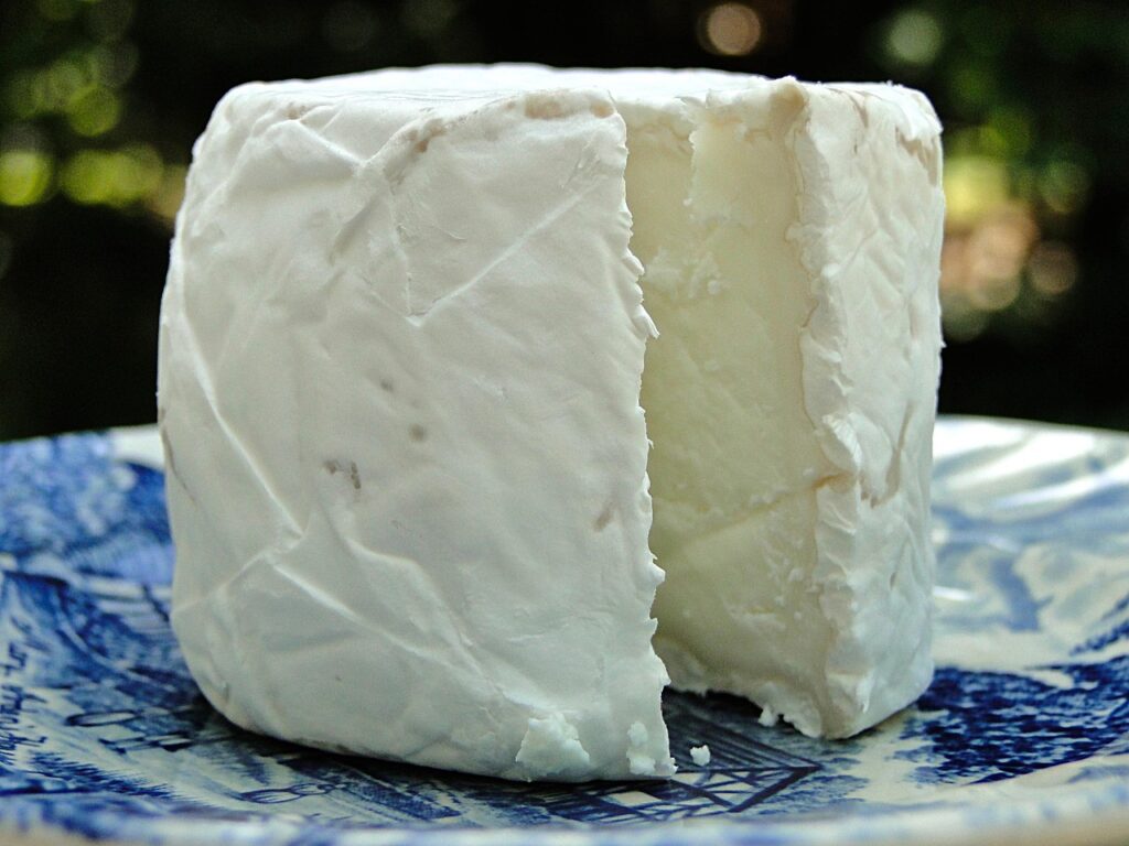 Cheese, Goat cheese, Rind image.