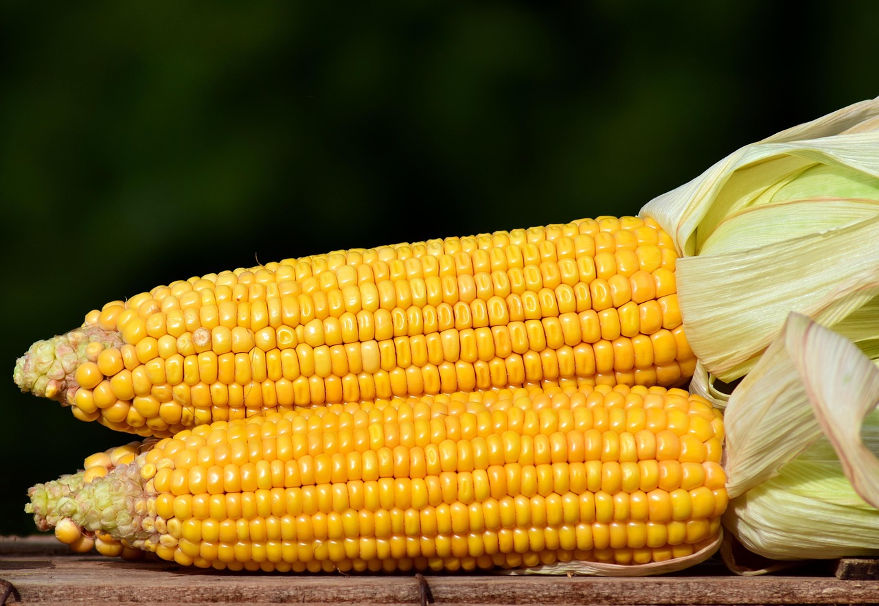 12 Best Ways To Cook Corn For Sweet, Juicy Results