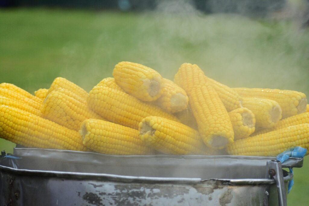 steamed corn