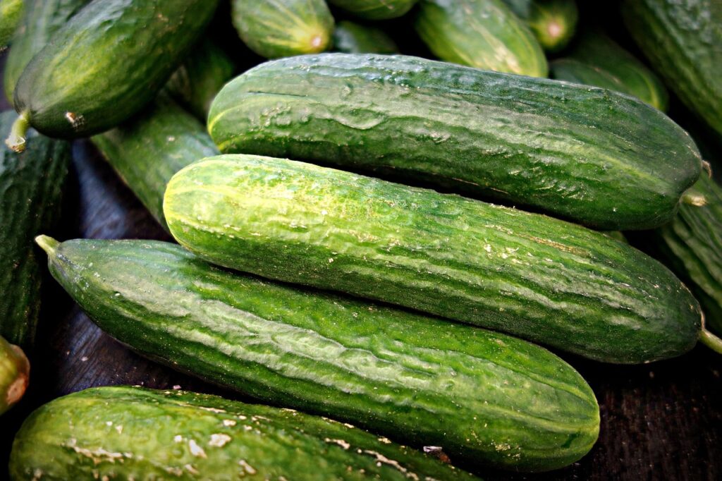 cucumber skin, focusing on textured areas.