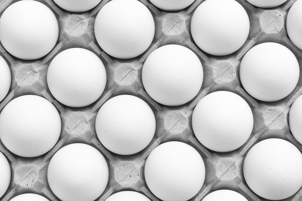 Eggs, Food, Egg tray image.