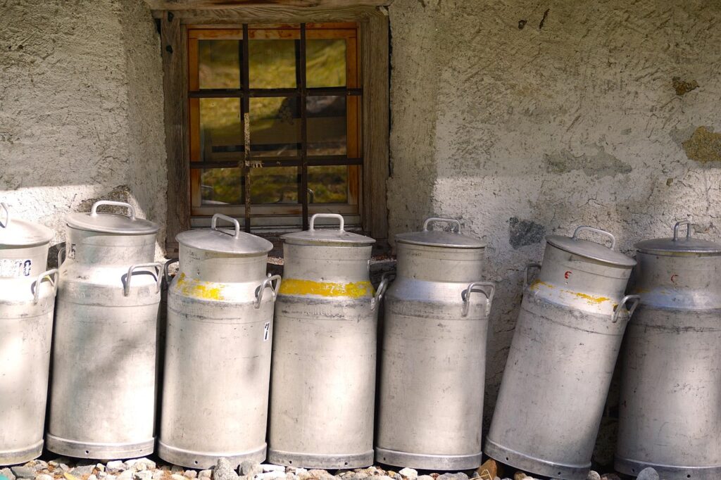 Milk, Milk container, Milking image.