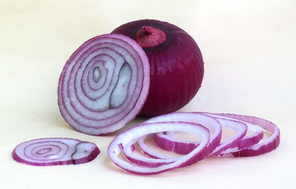 Onion, Chopped onion, Tropea red onion image. 