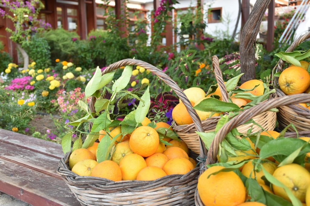 Oranges, Orange, Orange basket image.