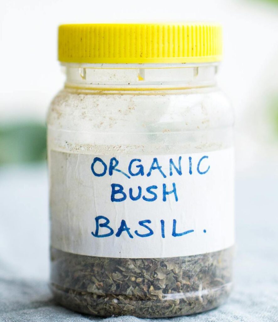 Organic Bush Basil Jar