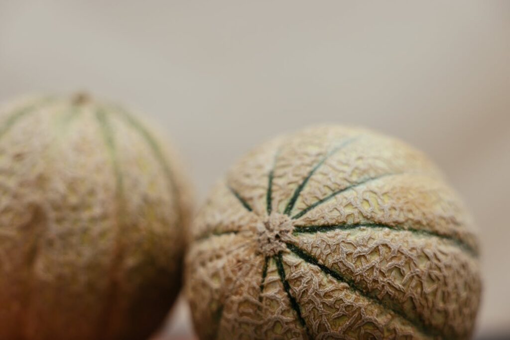 A Close-Up Shot of Melons
