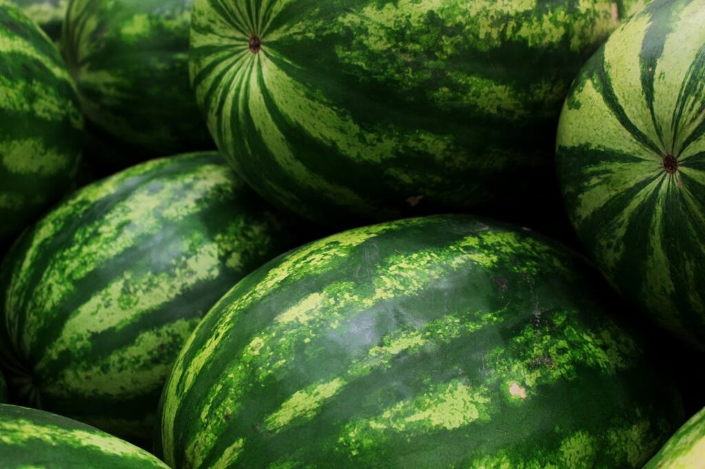 Close-up of brown webbing patterns on watermelon rind.
