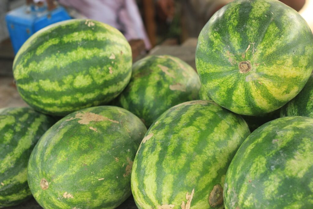 Water melons, Fruit, Fresh image.