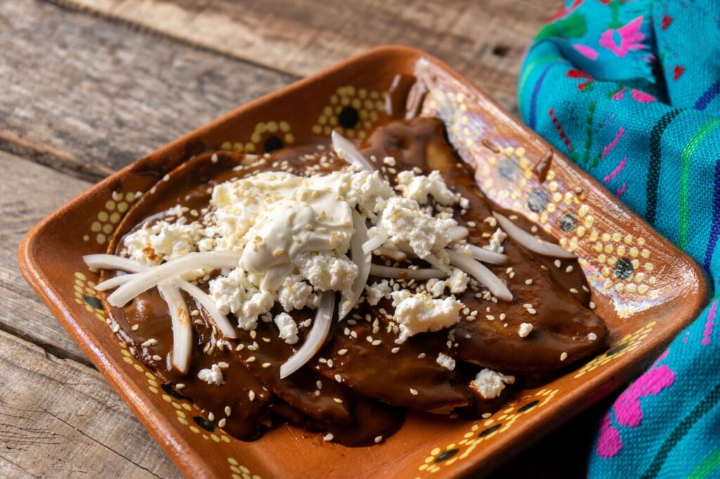 Savory Mole Sauce with Chocolate Chips