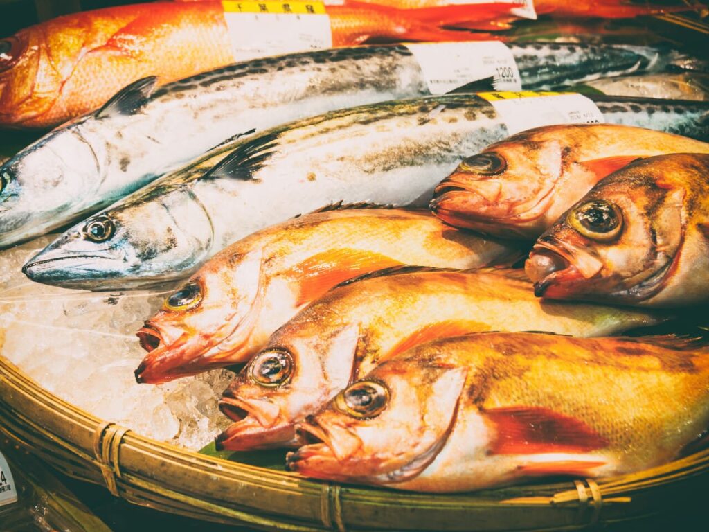 A closeup of the freshly caught fish in the basket filled with ice in the market