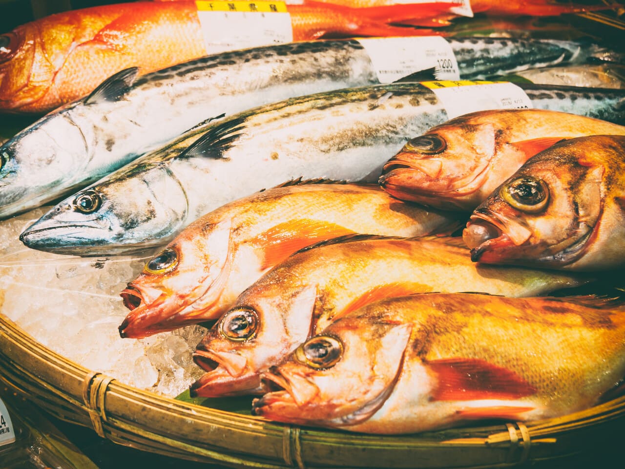 10 Types of Fish That Taste Worse Than You Expect