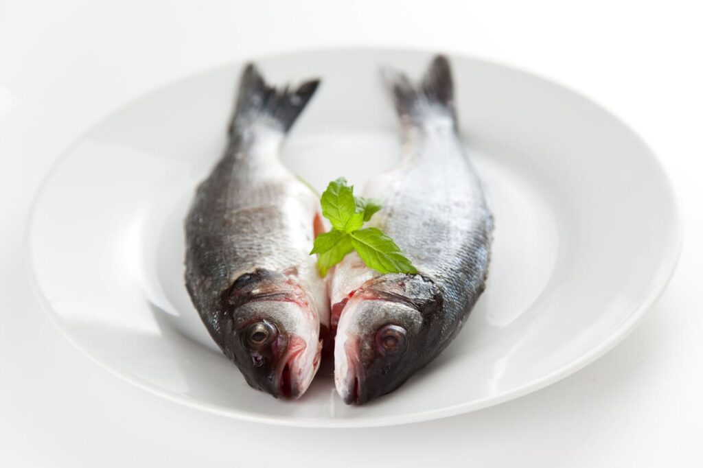 Basa (Pangasius)