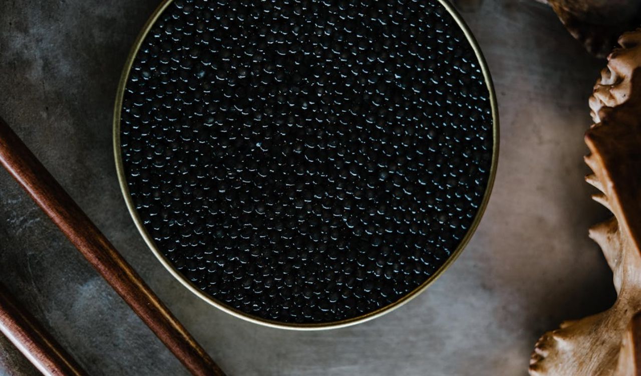 Beluga caviar