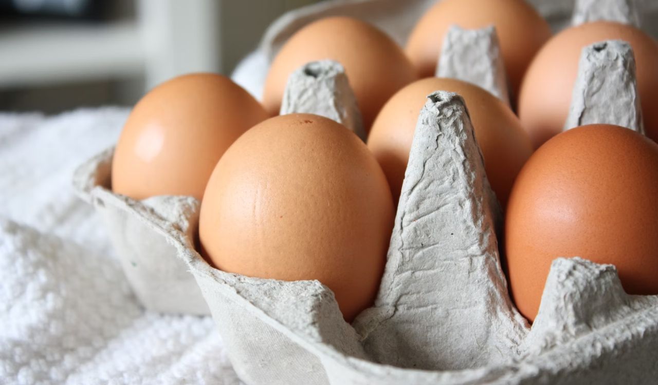 Brown eggs