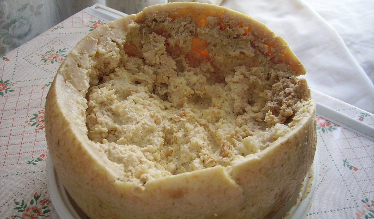 Casu marzu
