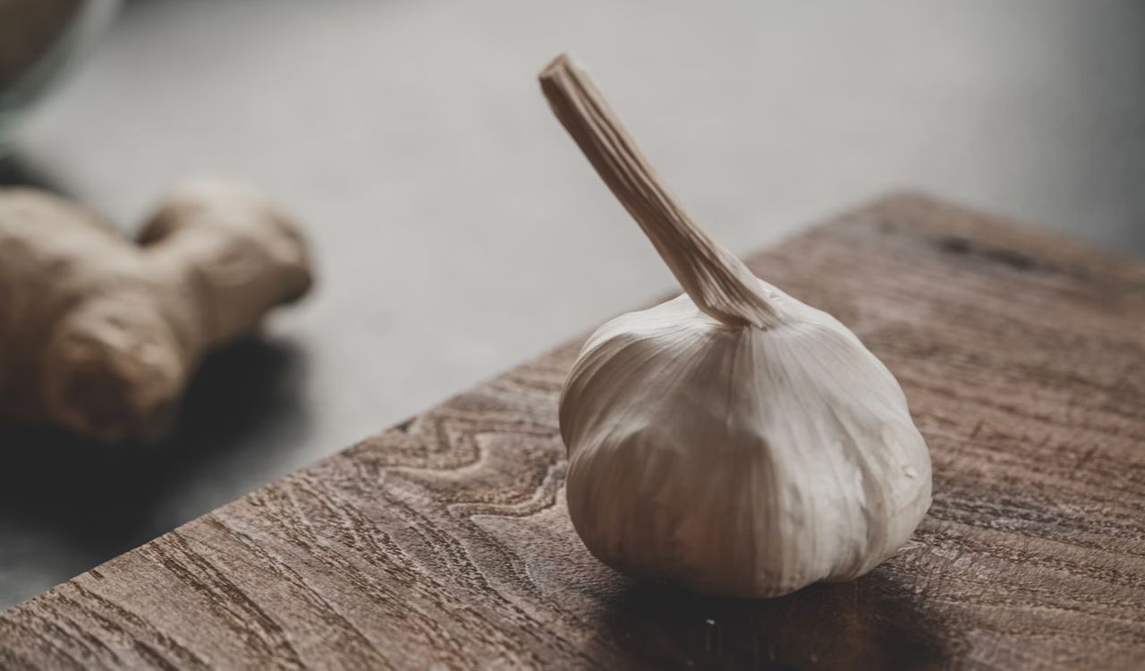 Close-up of Garlic