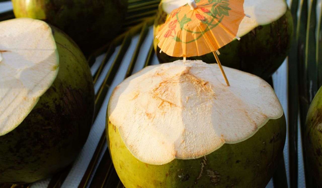Coconut