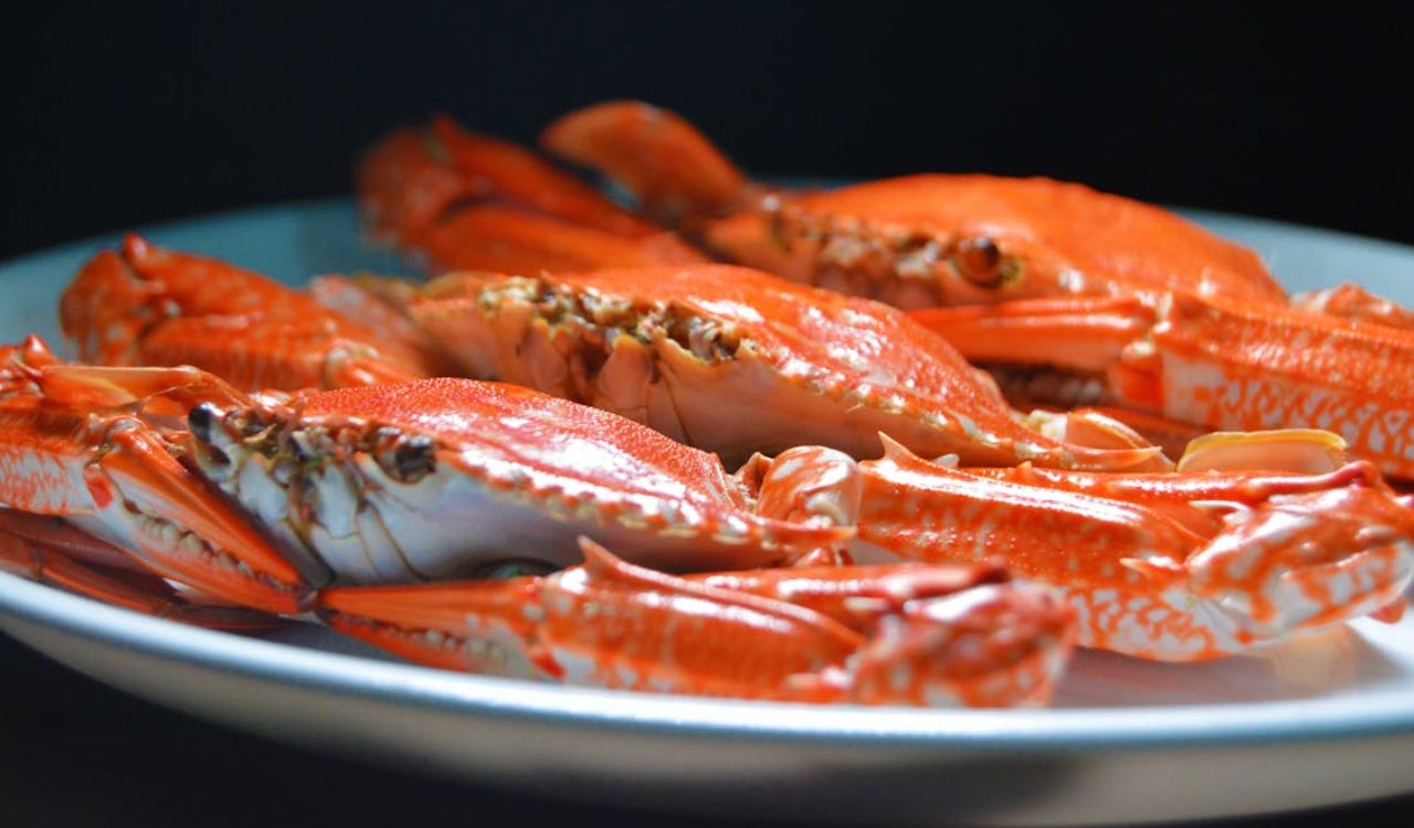 Crabs on a white ceramic plate