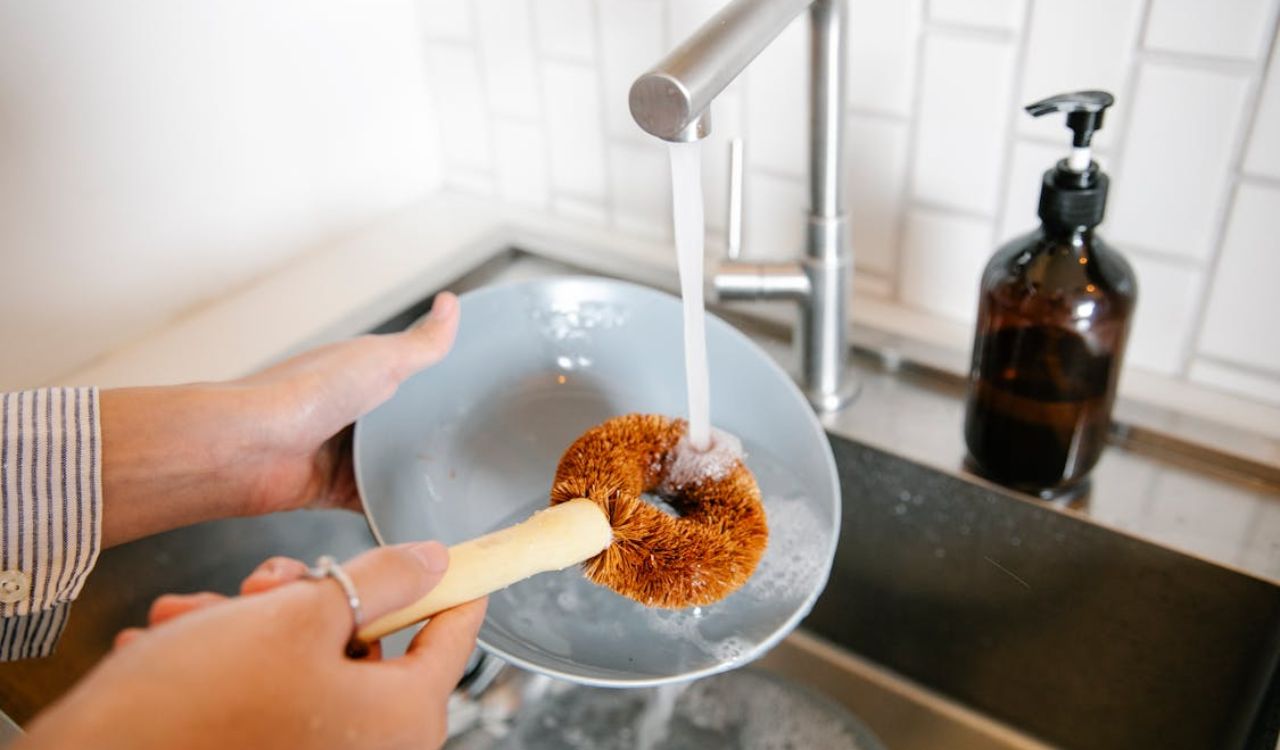 Dish brush