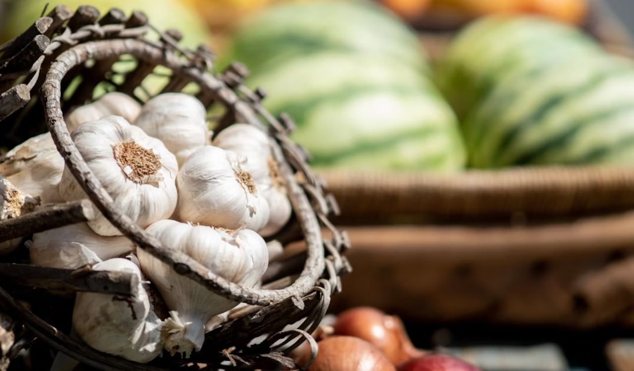 Garlic in basket