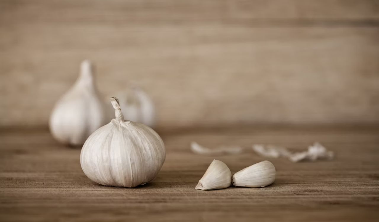 Garlic on top of wooden table