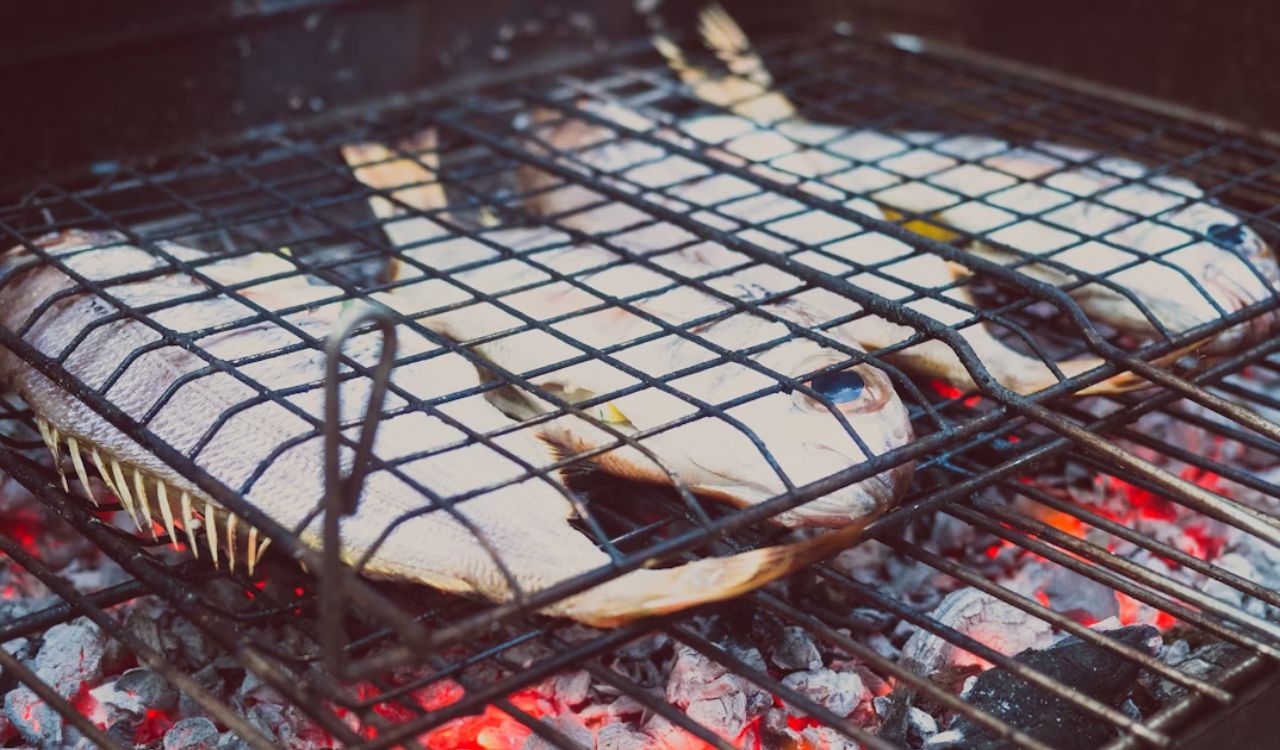 Grilled fish