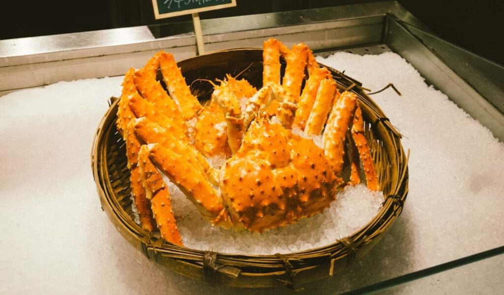 King crab