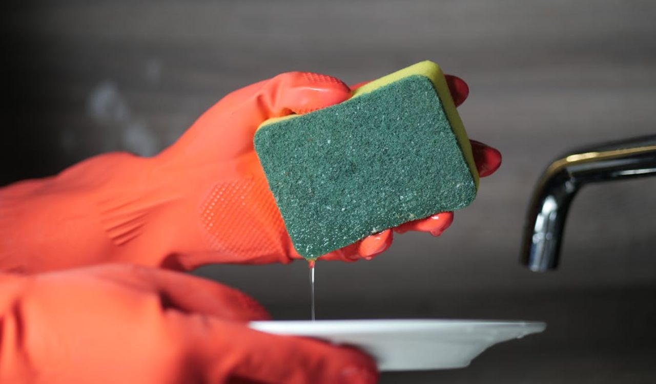 Kitchen sponge