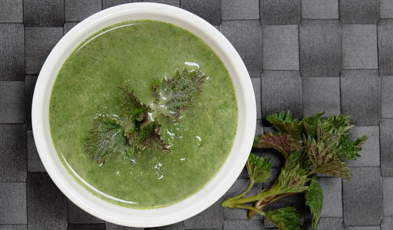 Nettle soup