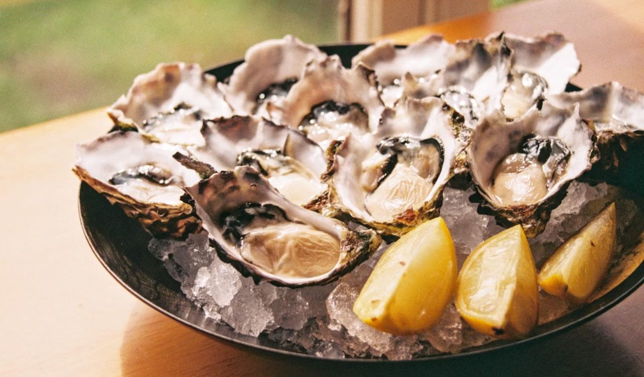 Oysters